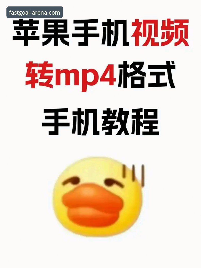 球速体育苹果版官方下载操作教程：从安装到实时数据体验的全流程指南